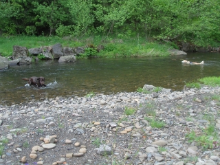 Trainingsspaziergang